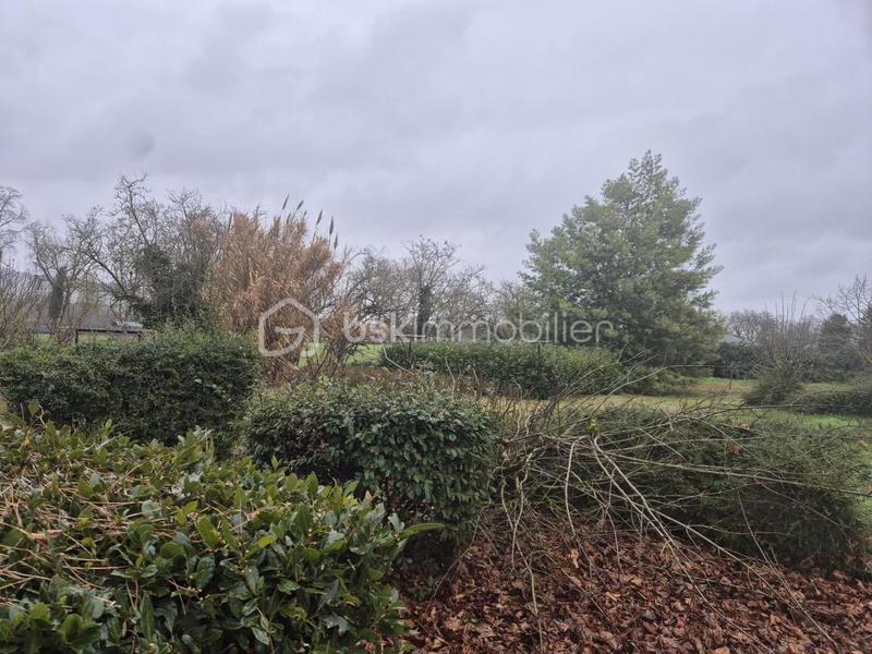 Maison de campagne - 140 m² - 5 pièces