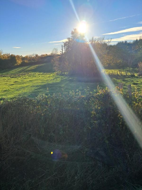 Terrain constructible - 1 883 m²