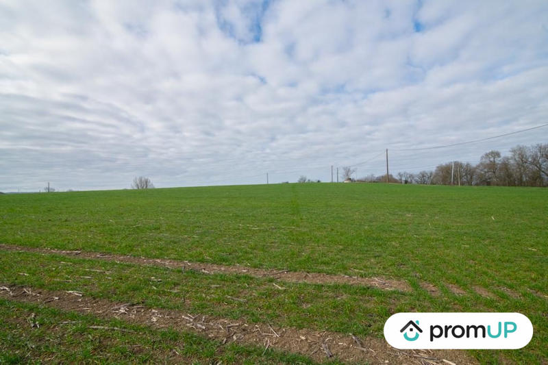 Terrain agricole - 8 000 m²