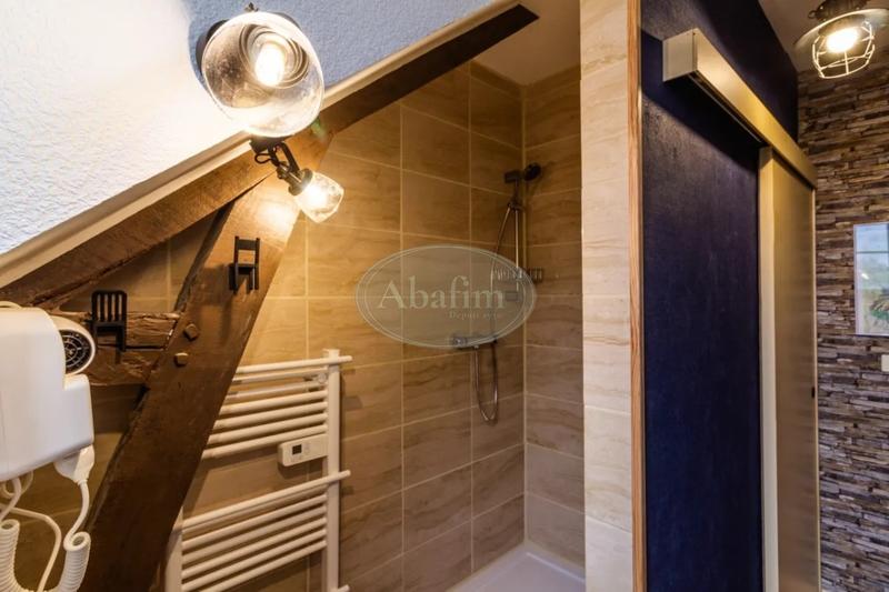 Gîte - 313 m² - 9 pièces