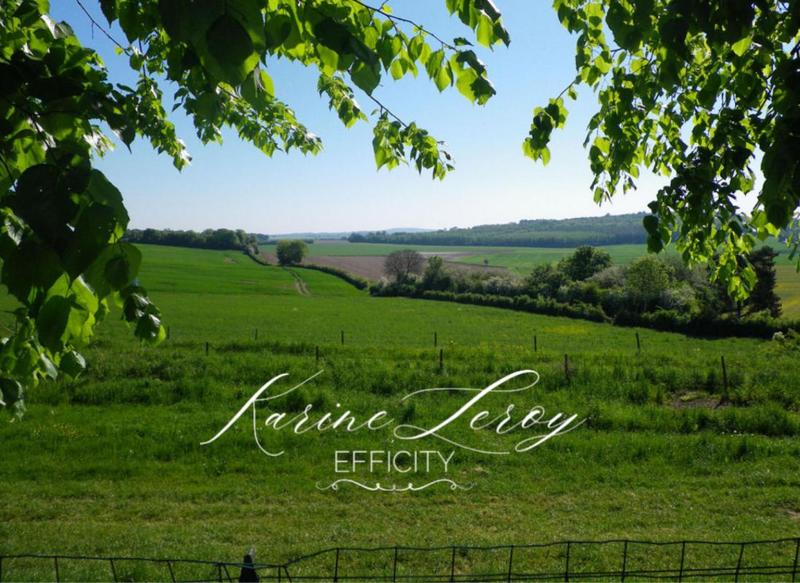 Maison - 400 m² - 12 pièces