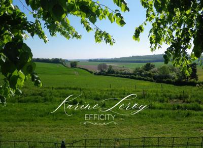 Maison - 400 m² - 12 pièces