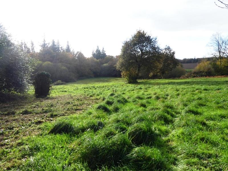 Maison en pierre - 44 m² - 3 pièces