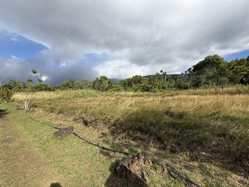 Propriété - 245 m² - 9 pièces