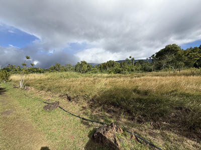 Propriété - 245 m² - 9 pièces