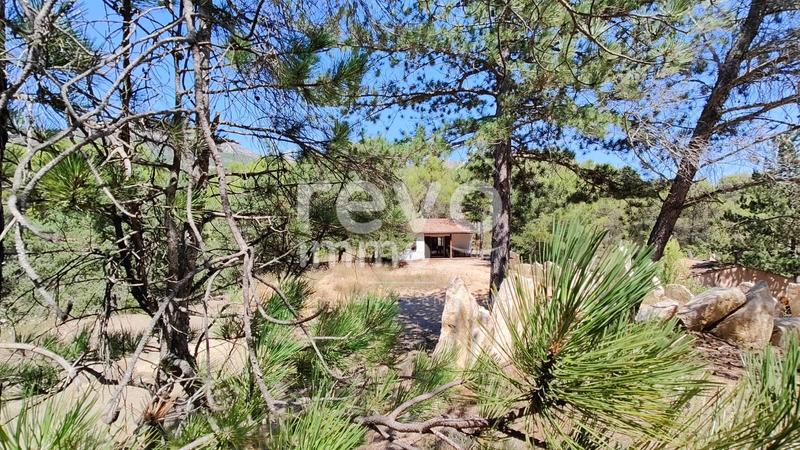 Maison - 65 m² - 3 pièces