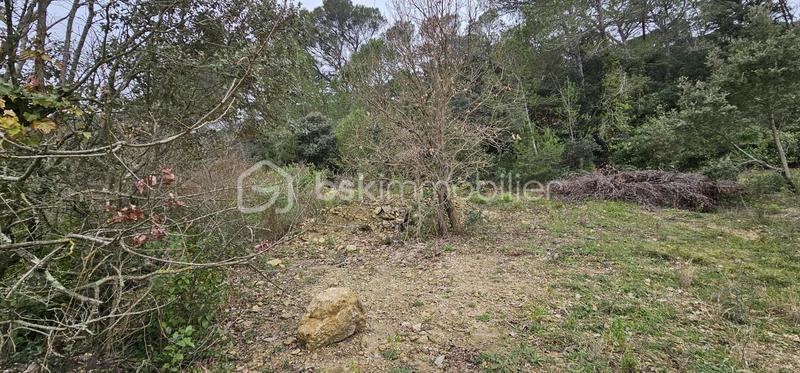 Terrain agricole - 7 256 m²