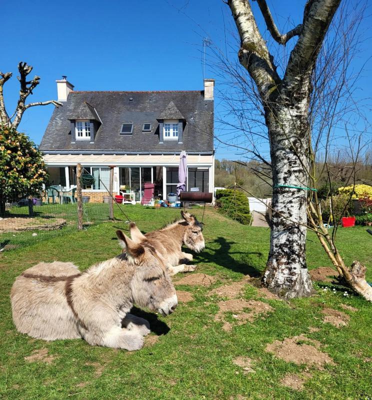 Maison - 128 m² - 6 pièces