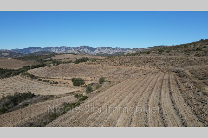 Terrain agricole - 11 020 m²
