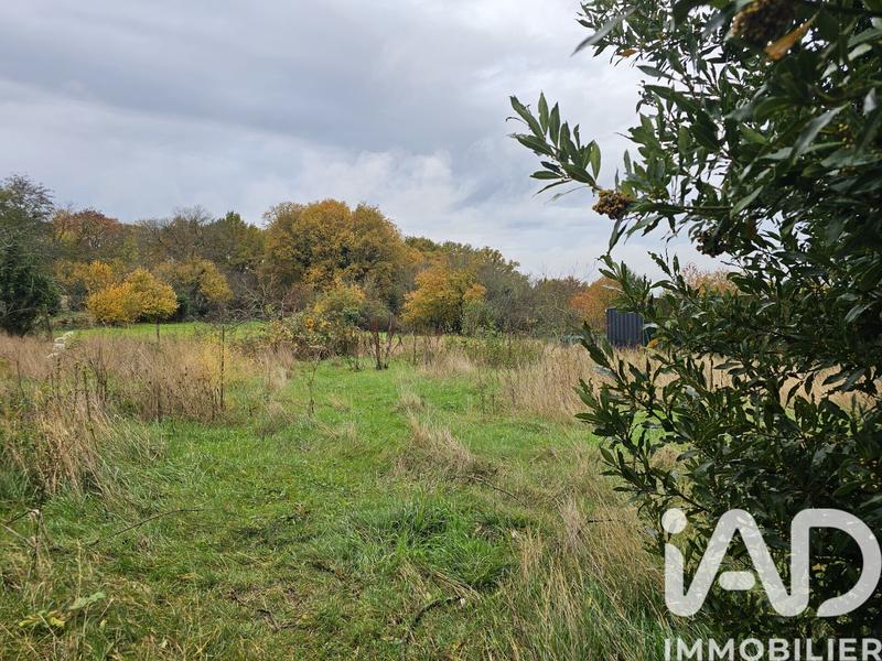 Maison - 300 m² - 7 pièces