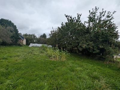 Terrain - 800 m²