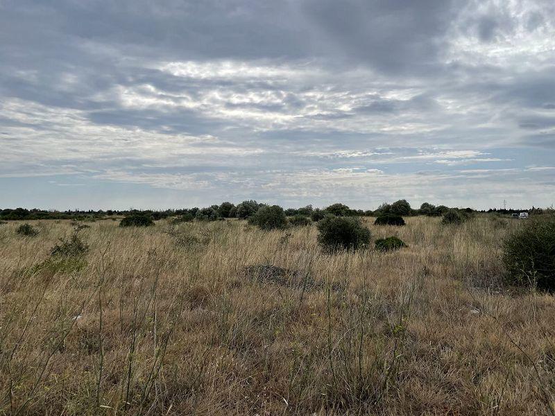 Terrain - 21 115 m²