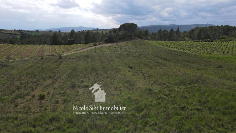 Terrain agricole - 10 460 m²