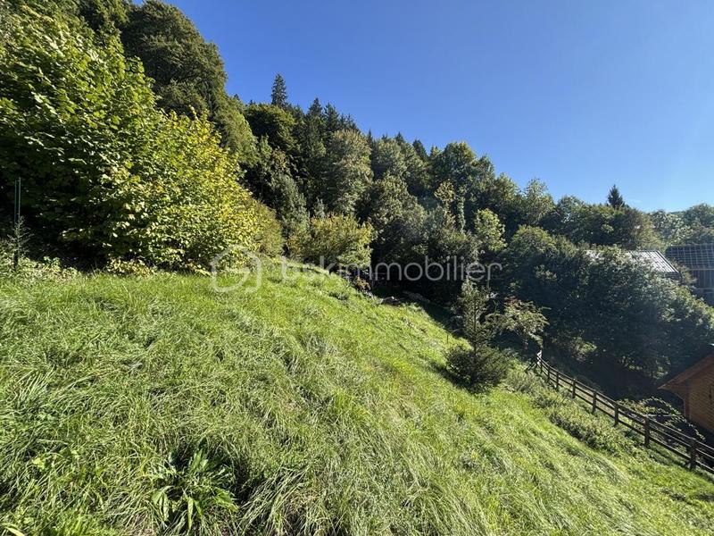 Terrain - 875 m²