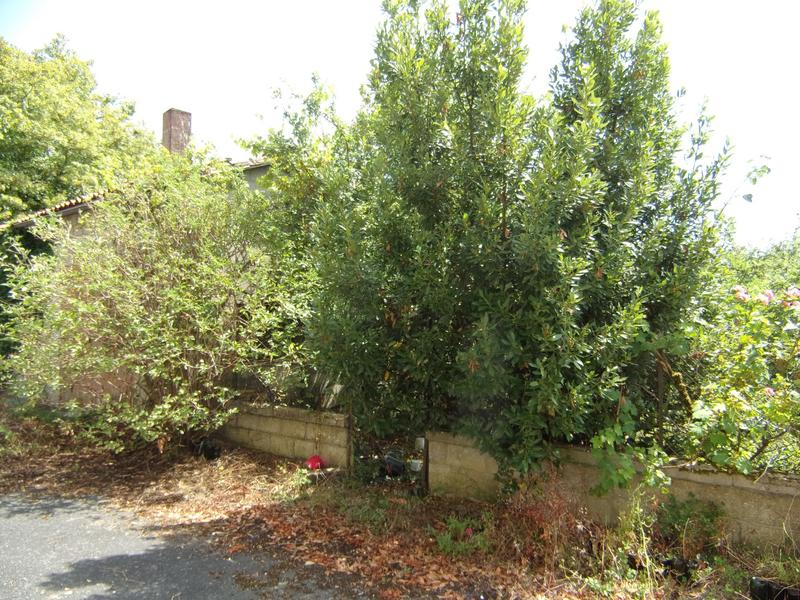 Maison ancienne - 246 m² - 12 pièces