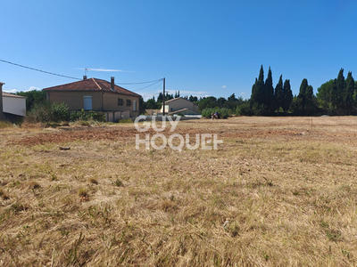 Terrain - 981 m²