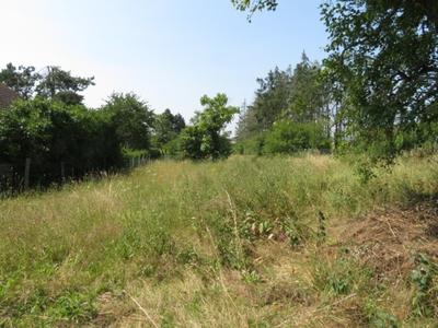 Terrain constructible - 1 935 m²