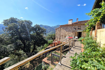 Mas - 295 m² - 11 pièces