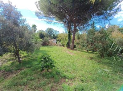 Terrain constructible - 800 m²