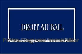 Fonds de commerce - 185 m²