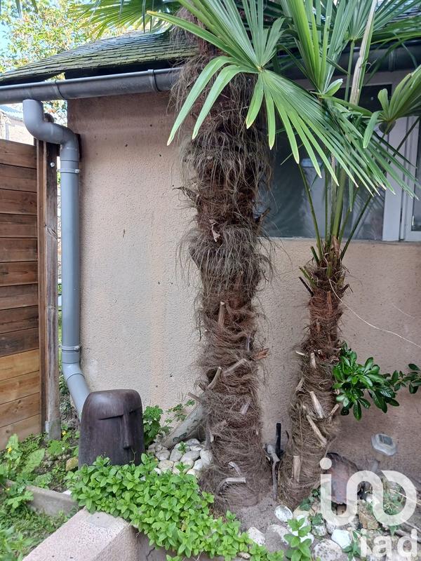 Maison de ville - 200 m² - 7 pièces