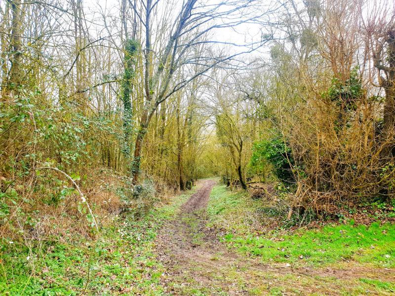 Maison - 14 m² - 1 pièce