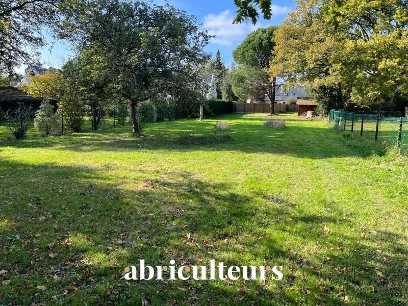 Terrain - 1 228 m²