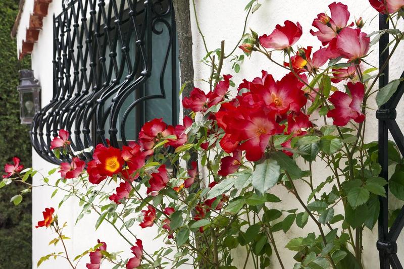 Maison - 900 m² - 20 pièces