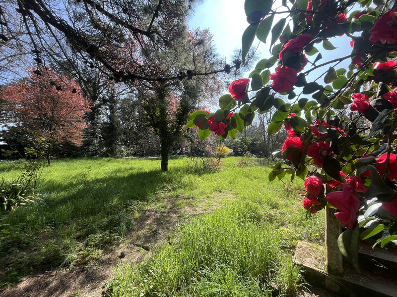 Maison - 408 m² - 13 pièces