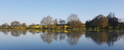 Manoir - 2 000 m² - 40 pièces