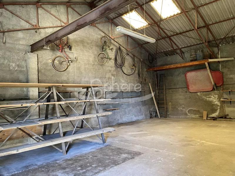 Hangar - 600 m² - 1 pièce