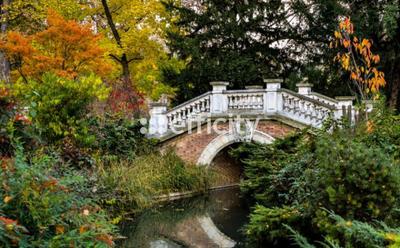 Appartement bourgeois - 150 m² - 6 pièces