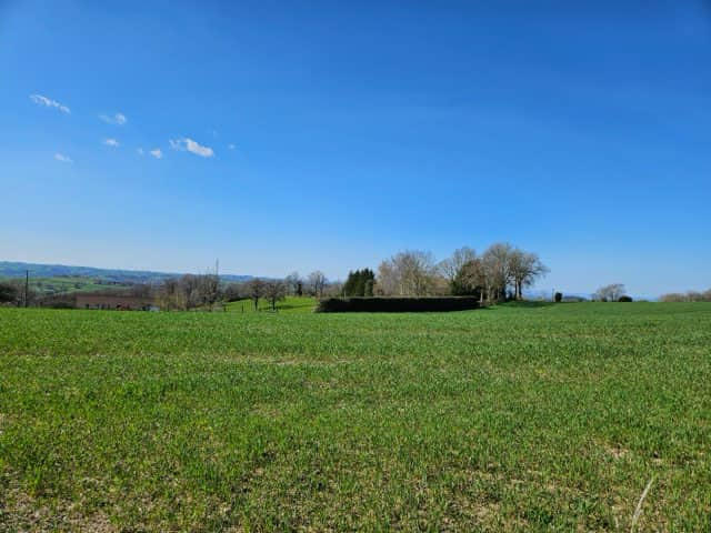Terrain - 805 m²