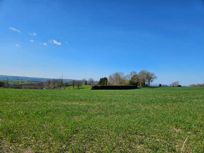 Terrain - 805 m²