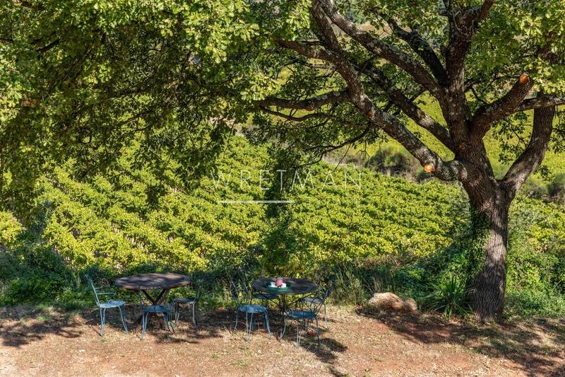 Propriété - 360 m² - 10 pièces