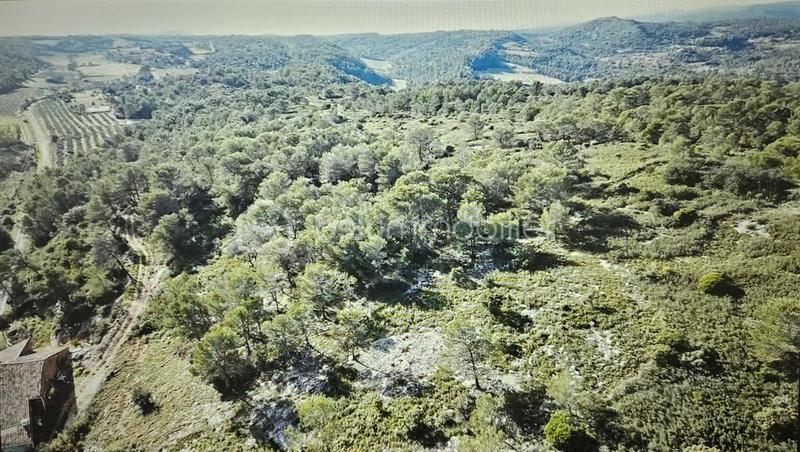 Propriété - 326 m² - 9 pièces