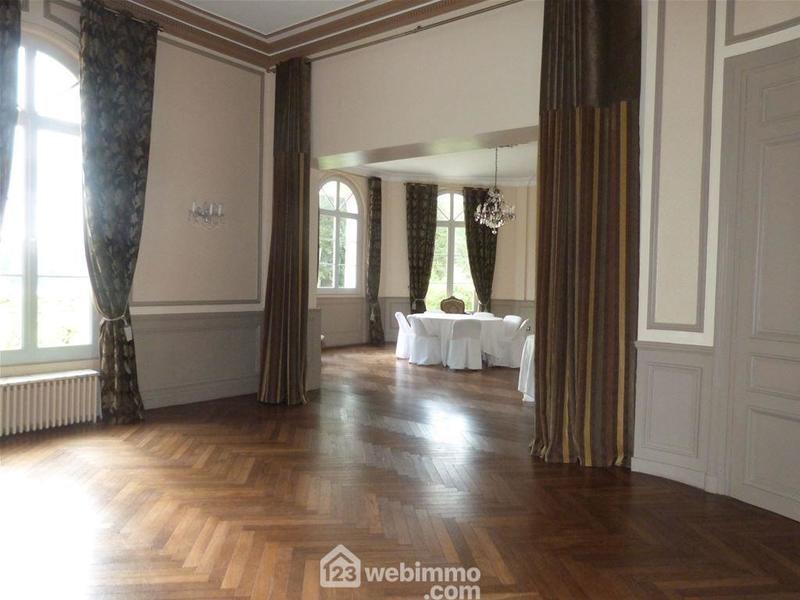 Château - 850 m² - 17 pièces