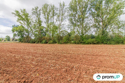 Terrain - 5 070 m²