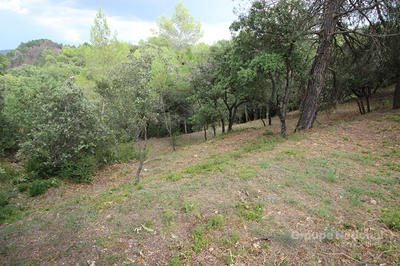 Terrain - 6 300 m²