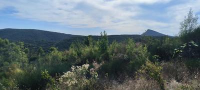 Terrain - 38 170 m²