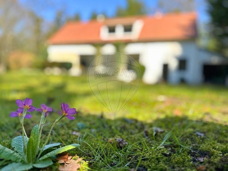 Maison - 175 m² - 8 pièces