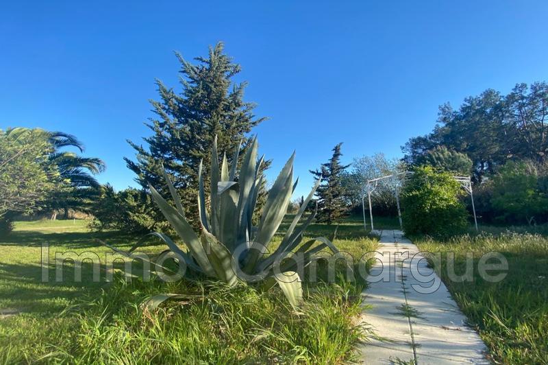 Mas - 340 m² - 10 pièces