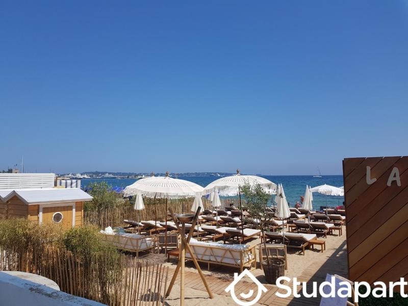 Appartement - 19 m² - 1 pièce