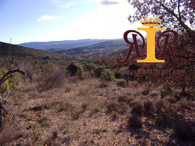 Terrain agricole - 17 700 m²