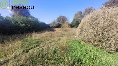 Terrain - 776 m²