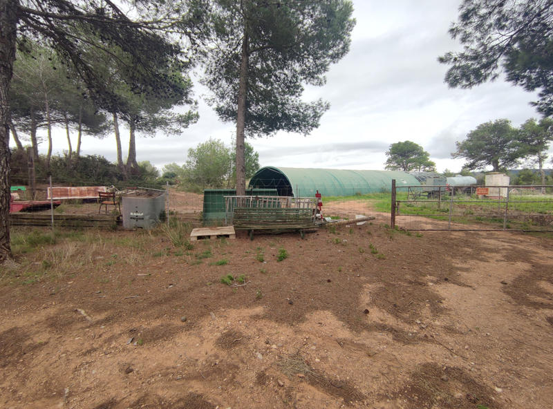 Terrain agricole - 310 000 m²