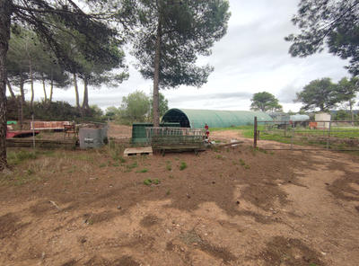 Terrain agricole - 310 000 m²