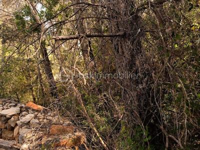 Terrain agricole - 525 m²