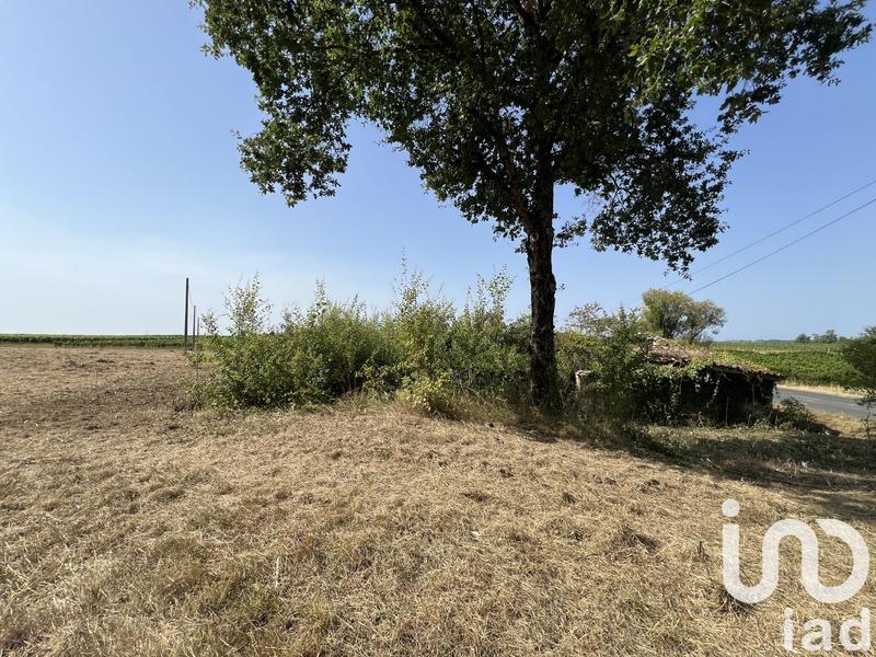 Terrain - 11 204 m²