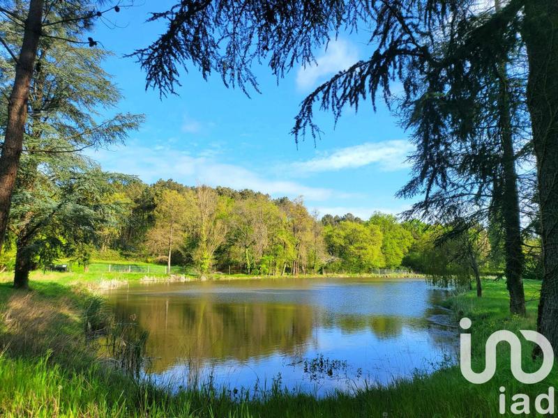 Terrain - 50 000 m²